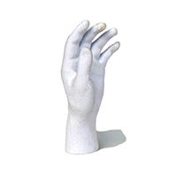 Hand